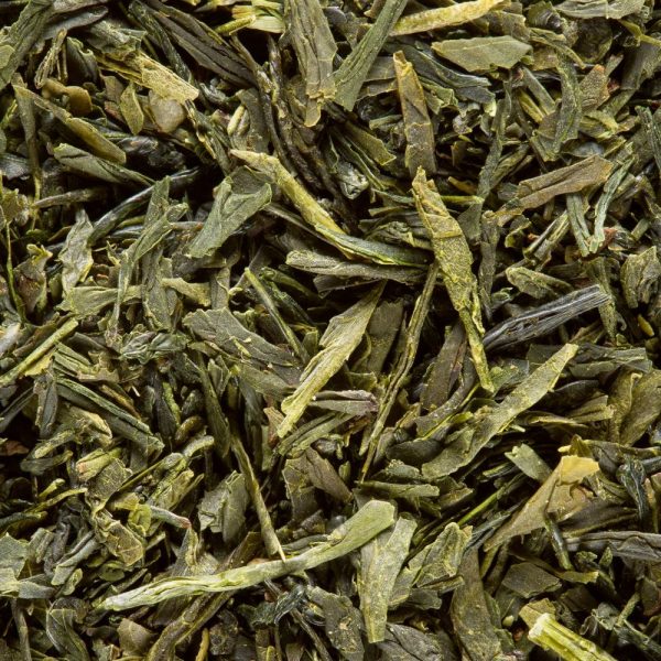 SENCHA KOTO JAPON